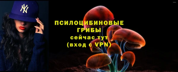 PSILOCYBIN Козельск