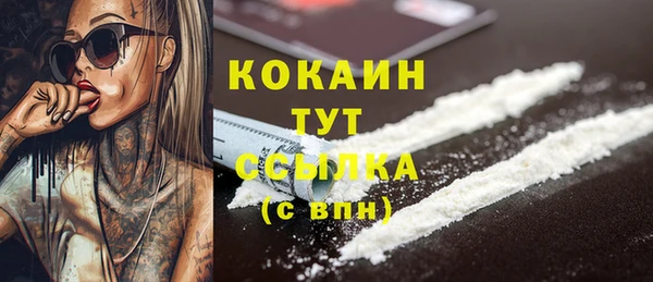 spice Кодинск