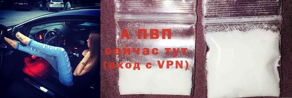 сатива Костерёво