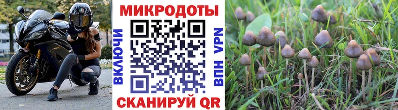 Галлюциногенные грибы MAGIC MUSHROOMS Алушта