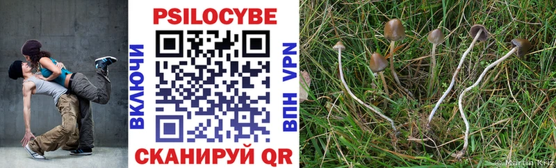 Псилоцибиновые грибы мухоморы  Купить закладки  Алушта 