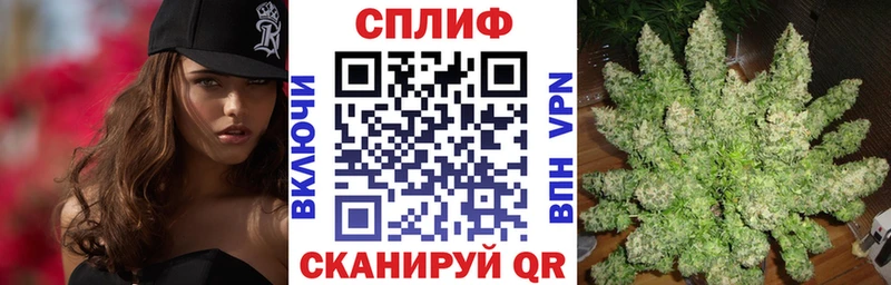 Купить где Алушта Марихуана Ganja